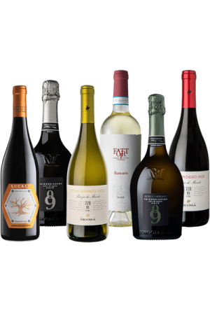 BORKÓSTOLÓ Csomag / HALADÓ