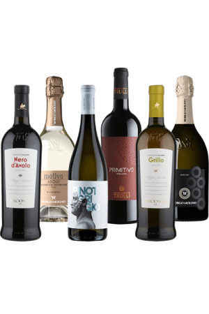 BORKÓSTOLÓ Csomag / KEZDŐ